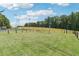Spacious and well-maintained dog park with lush green grass, perfect for pets to play and exercise at 1504 Wingate Way, Atlanta, GA 30350