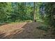 Wooded backyard with a tree-covered lot at 6300 Blackwater Trl, Atlanta, GA 30328