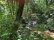 Scenic creek with lush greenery creating a peaceful, natural backdrop for this property at 235 Pirkle Ct, Cumming, GA 30040