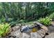 Backyard pond featuring mature plants and rock surround at 6010 Somerset Ct, Suwanee, GA 30024