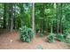 Private wooded backyard with mature trees at 12160 Oak Hollow Way, Alpharetta, GA 30005