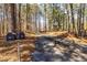 Rustic mailboxes stand beside a long, winding driveway surrounded by towering trees, creating a sense of privacy at 166 Muse Rd, Fayetteville, GA 30214