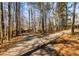 Scenic drive leading to a charming home surrounded by a beautiful wooded landscape and mature trees at 166 Muse Rd, Fayetteville, GA 30214