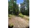 Gravel driveway lined with trees, showcasing a natural and secluded entrance to the property at 6394 Shore Dr, Douglasville, GA 30135