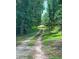Long, private driveway with a natural, wooded surrounding leading to the property at 6394 Shore Dr, Douglasville, GA 30135