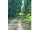Long gravel driveway leading to a wooded property offering privacy and seclusion at 6394 Shore Dr, Douglasville, GA 30135