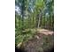 Wooded lot with lush greenery, presenting a tranquil and private setting for a new home at 6394 Shore Dr, Douglasville, GA 30135