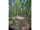 Serene wooded landscape with a clearing, perfect for building a secluded retreat at 6394 Shore Dr, Douglasville, GA 30135