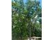 Property features tall trees with a mobile home behind at 6394 Shore Dr, Douglasville, GA 30135