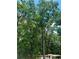 View of a wooded property with a mobile home and tall trees offering a serene environment at 6394 Shore Dr, Douglasville, GA 30135