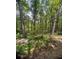 Lush lot with an old pallet laying on the ground and mature trees at 6394 Shore Dr, Douglasville, GA 30135