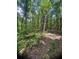 Lush lot with lots of mature trees at 6394 Shore Dr, Douglasville, GA 30135