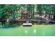 A dock with a 'Sale' sign on a serene, green lake surrounded by lush trees, offering a tranquil and potentially valuable waterfront property at 504 N Little Victoria Rd, Woodstock, GA 30189