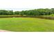 Open backyard view to pond with lush green lawn at 833 Hines Rd, Moreland, GA 30259