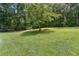 Expansive backyard with mature trees, offering a private and serene setting at 146 Pine St, Covington, GA 30014