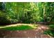 View of a lush, wooded backyard with a grassy area and pine straw ground cover at 1781 Point Pleasant Se, Smyrna, GA 30080