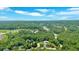 Panoramic aerial view of the neighborhood showcasing lush greenery and the community layout at 6236 Millstone Trl, Douglasville, GA 30135
