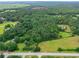 Aerial view showing the vast greenery and mature trees surrounding the home and nearby residences at 2071 Habersham Cir, Covington, GA 30014