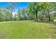 Expansive backyard with lush green grass and mature trees offering privacy and a serene setting at 14 Black Forest Run, Douglasville, GA 30134