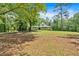 Expansive front yard leading up to a beautiful home surrounded by lush trees and greenery at 14 Black Forest Run, Douglasville, GA 30134