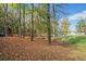 View of spacious backyard with leaves, trees, and partial lake view on a sunny day, perfect for outdoor activities at 5500 Mccoy Nw Rd, Acworth, GA 30101