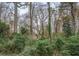 Backyard with mature trees creating a private, wooded setting behind the property at 1216 Valley Dr, Conyers, GA 30012