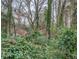 Backyard area with mature trees that create a private wooded setting for the brick house at 1216 Valley Dr, Conyers, GA 30012