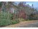 Backyard landscaping featuring mature trees for a secluded setting surrounding the home at 1216 Valley Dr, Conyers, GA 30012