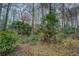 Natural yard featuring trees and lush landscaping, creating a serene and private setting at 1216 Valley Dr, Conyers, GA 30012