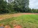 Fenced backyard featuring a mix of green grass and natural areas, providing privacy and space for recreation at 521 Deadwood Trl, Locust Grove, GA 30248