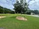Well-manicured front yard with lush green grass, a mature tree, and tasteful landscaping, enhancing curb appeal at 521 Deadwood Trl, Locust Grove, GA 30248