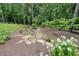Landscaped backyard featuring rock drainage with lush flowers and mature trees at 287 Flower Farm Dr, Acworth, GA 30101