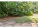 Spacious backyard featuring a wooded area and a traditional wooden fence at 2346 Hampton Park Dr, Buford, GA 30519