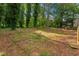 Expansive backyard boasting mature trees and natural landscape in a serene setting at 658 Slew Ave, Lawrenceville, GA 30043