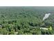 Expansive aerial view of a wooded property near a lake, offering privacy and natural beauty at 1590 Sunnybrook Farm Rd, Atlanta, GA 30350