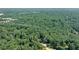 High aerial view of home, and a lush, extensive tree surround at 1590 Sunnybrook Farm Rd, Atlanta, GA 30350