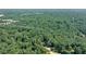 Expansive aerial view of wooded acreage and a home, perfect for a nature enthusiast at 1590 Sunnybrook Farm Rd, Atlanta, GA 30350