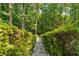 Stone walkway bordered by manicured hedges, creating a charming garden path through the yard at 1590 Sunnybrook Farm Rd, Atlanta, GA 30350