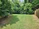 Manicured back yard with green grass at 535 Village Cir, Stockbridge, GA 30281