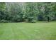 Spacious backyard with lush green lawn surrounded by mature trees at 4051 Dixie Ln, Douglasville, GA 30135