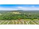Aerial shot of the property's location, surrounded by lush greenery and a scenic landscape at 101 River Walk Pkwy, Euharlee, GA 30145