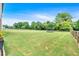 Expansive backyard with lush green grass and mature trees, offering ample space for recreation and outdoor activities at 101 River Walk Pkwy, Euharlee, GA 30145