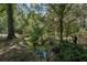 A wooden bridge crosses a small stream in the backyard with dense foliage and mature trees surrounding it at 119 Walker Nw Rd, Cartersville, GA 30121