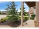 Well-manicured front yard with lush green grass, mature trees, and manicured landscaping at 4814 Little Cove Ct, Auburn, GA 30011