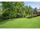 Lush green backyard with mature trees, offering a serene and private outdoor space for relaxation and recreation at 435 Old Holly Rd, Milton, GA 30075