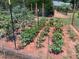 View of a charming fenced vegetable garden ready for growing delicious crops at 435 Old Holly Rd, Milton, GA 30075