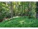 Picturesque property featuring mature trees and lush greenery, creating a private and serene setting at 435 Old Holly Rd, Milton, GA 30075
