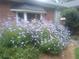 Well-maintained yard with beautiful flowering bushes, enhancing the curb appeal of the home at 435 Old Holly Rd, Milton, GA 30075