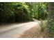 Long driveway leading to the property, lined with trees at 1473 Wildwood Way, Hampton, GA 30228