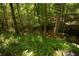 Scenic view of a stream flowing through the property at 1473 Wildwood Way, Hampton, GA 30228